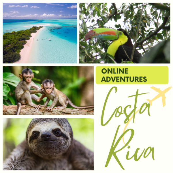 Image for event: Online Adventures - COSTA RICA